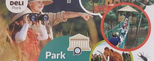Deli Park widziany z bliska